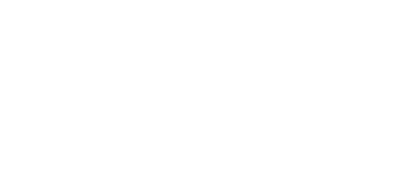 dansteel logo